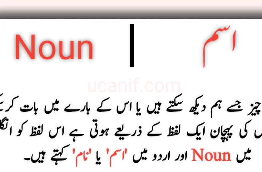 Nouns in Urdu