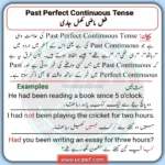 Past Perfect Continuous Tense in Urdu