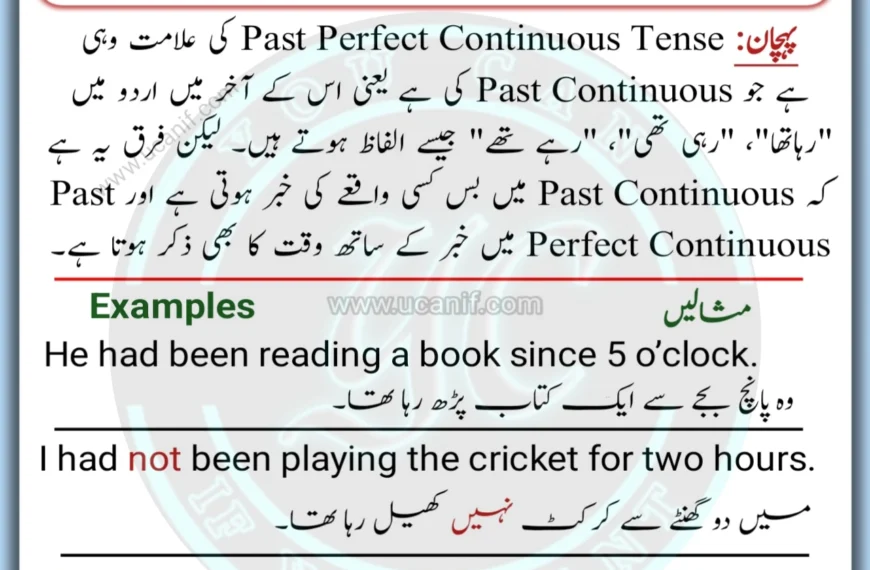 Past Perfect Continuous Tense in Urdu