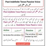 Past Indefinite Tense Passive Voice in Urdu with Examples