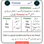 Pronouns in Urdu