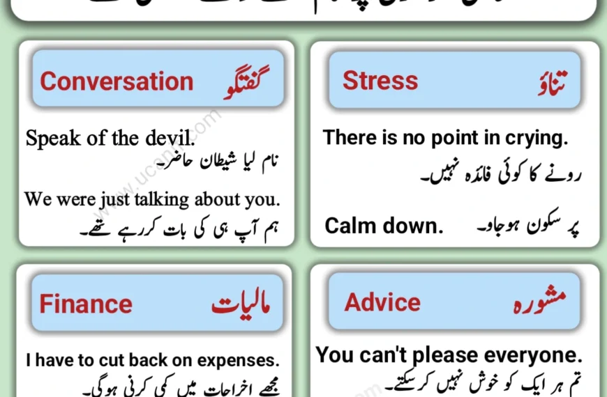 English Sentences with Urdu translation