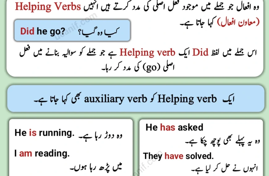 Helping Verb Meaning in Urdu, Helping Verbs in Urdu, Helping verbs meaning in urdu with examples