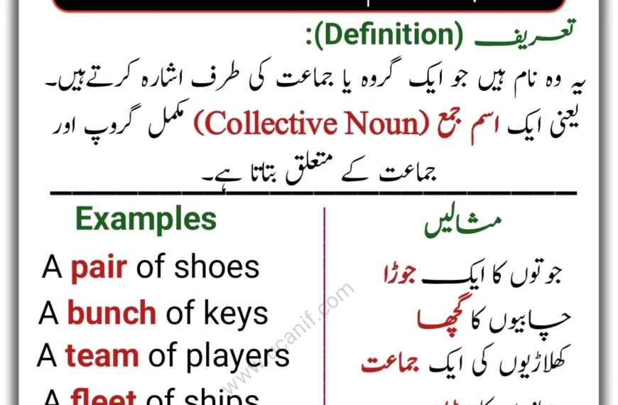 Collective Noun in Urdu, Collective Noun meaning in Urdu