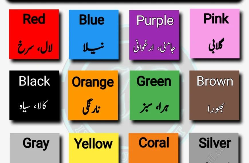 Colours Name in Urdu