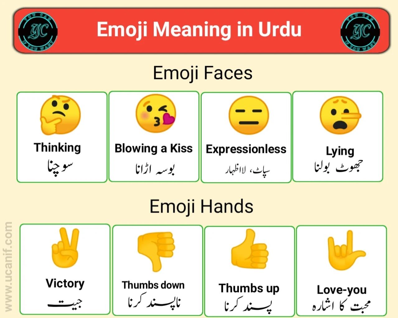 All Emoji Meaning In Urdu & English For WhatsApp Facebook & Twitter