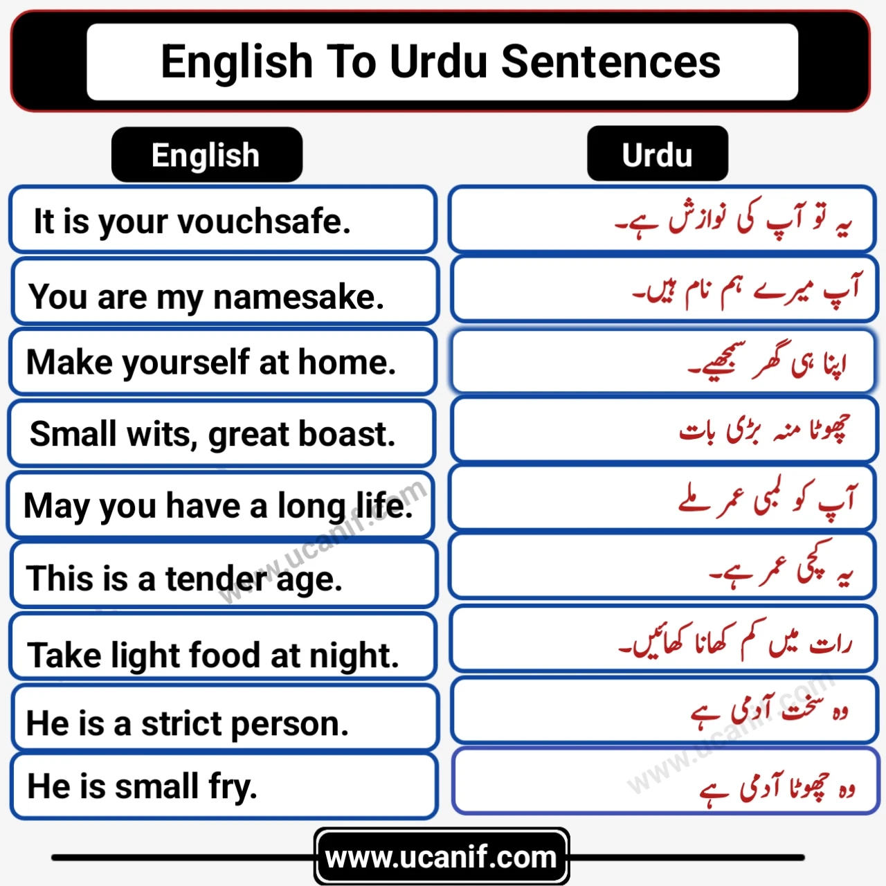 English Sentences with Urdu Meaning, english to Urdu sentences