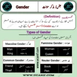 Gender Meaning in Urdu