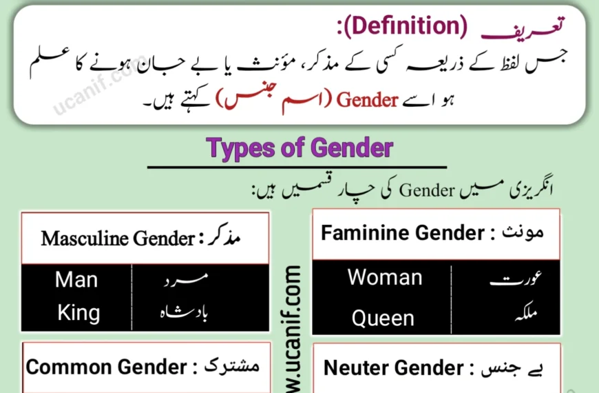 Gender Meaning in Urdu