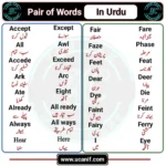 Pair of Words with Urdu Meaning, Pair of Words in Urdu