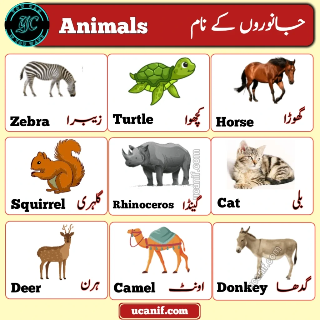 Animals Name in Urdu