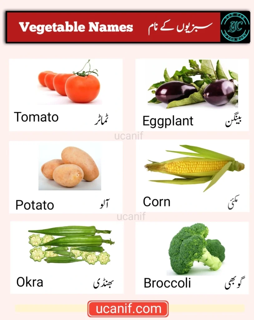 vegetables names urdu