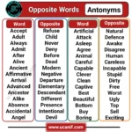 Opposite Words, Opposite Words in English