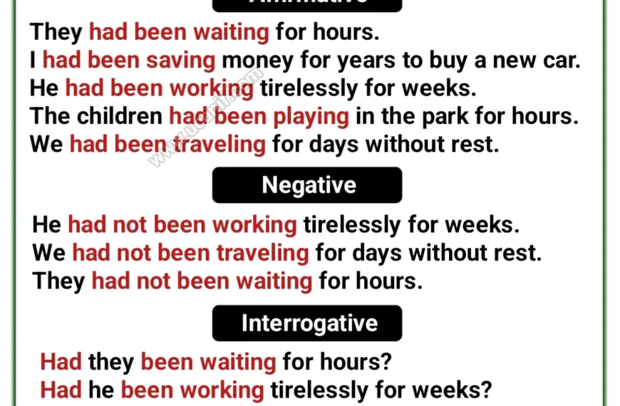 Past Perfect Continuous Tense Examples