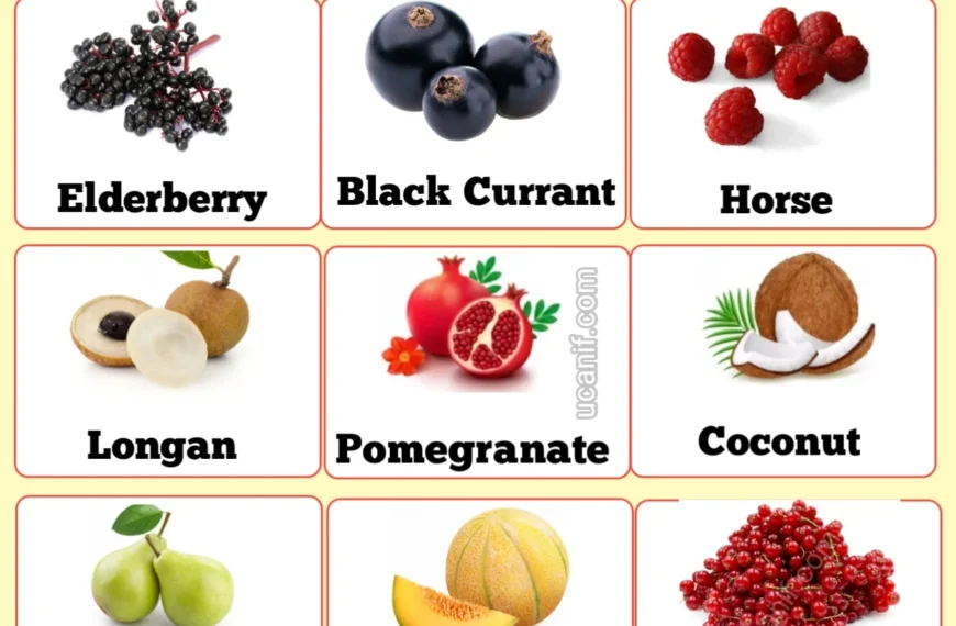 Popular 50 Fruits Name in English…