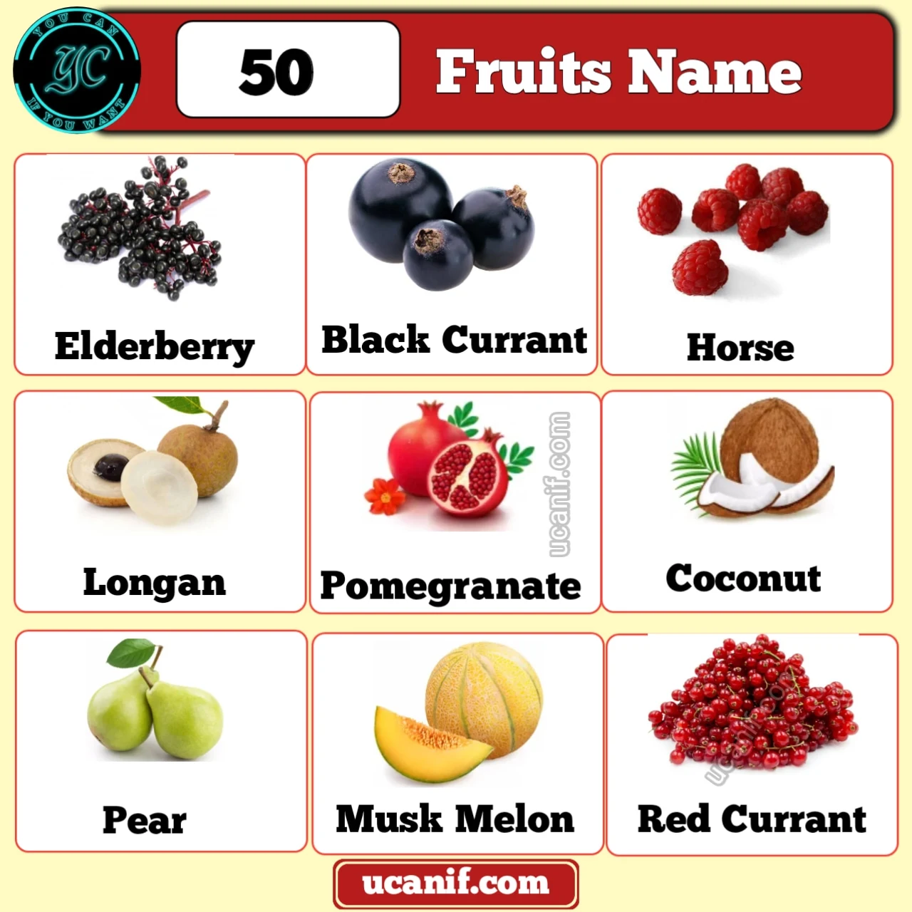 Popular 50 Fruits Name in English with Pictures (A to Z)