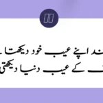 70+ Powerful Motivational Quotes in Urdu to Energize Your Day