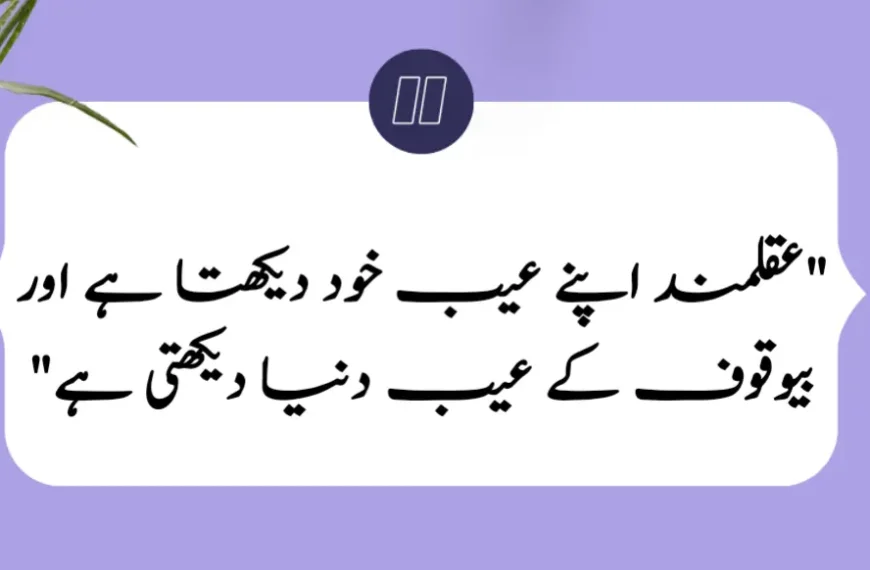 70+ Powerful Motivational Quotes in Urdu…