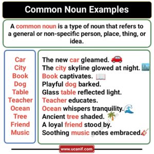 Common Noun, Common Noun examples, Common Noun Examples in Sentences
