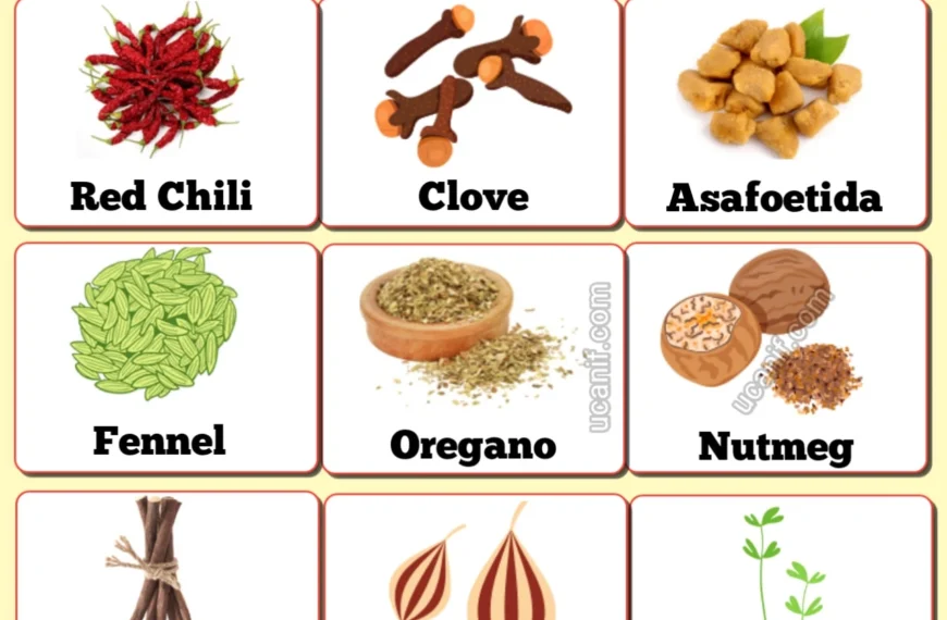 spices name in english