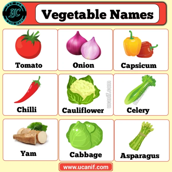 Vegetables Name in English