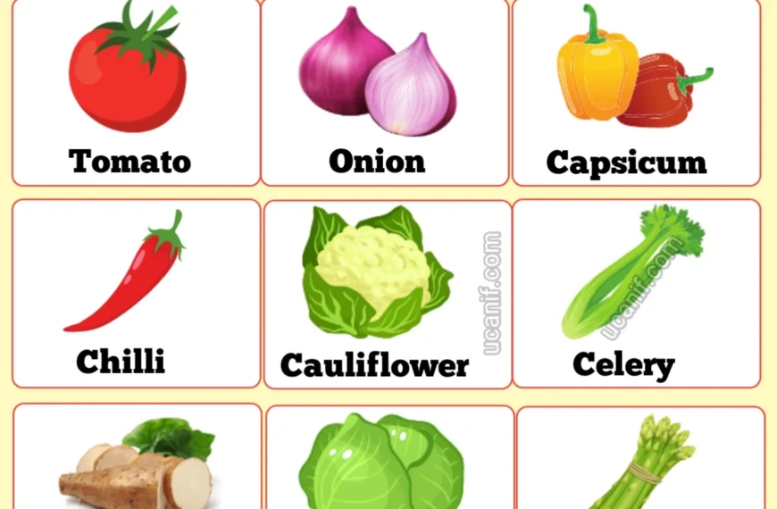 Vegetables Name in English