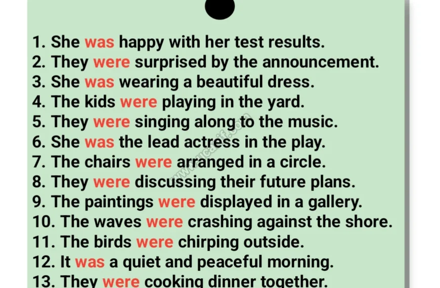 was and were sentences example, was were sentences