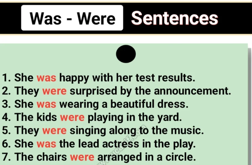 was and were sentences example, was were sentences